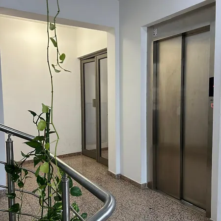 Apartment Luxury Artistic